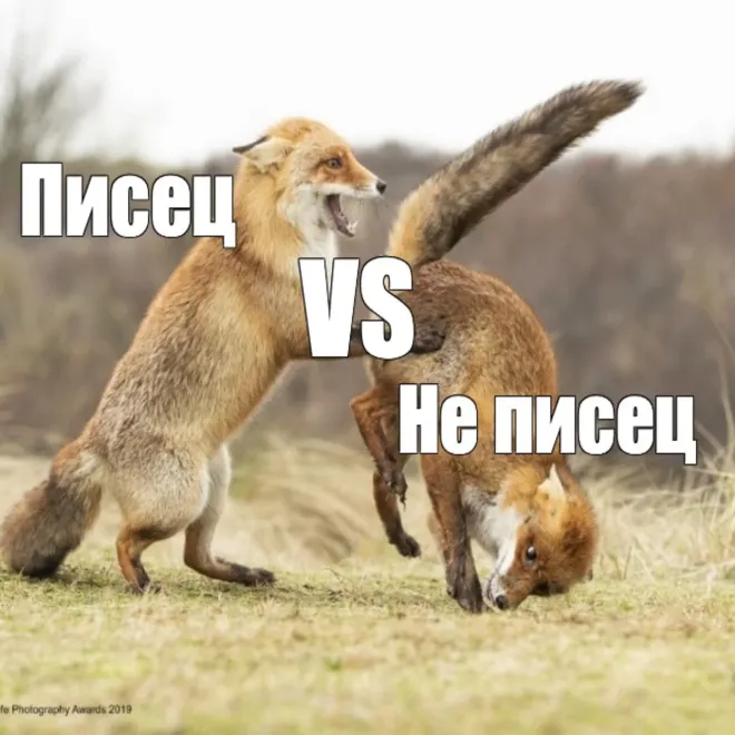 Изображение: Писец VS Conspecto: сравниваем два транскрибатора и выбираем победителя